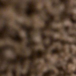 Meet your Posher, Maycee